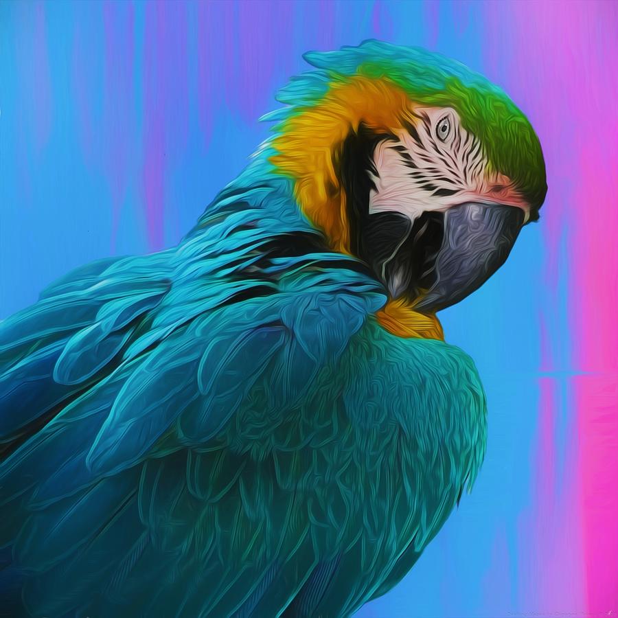 Feather Painting - Dashing Macaw by Chrystyne Novack