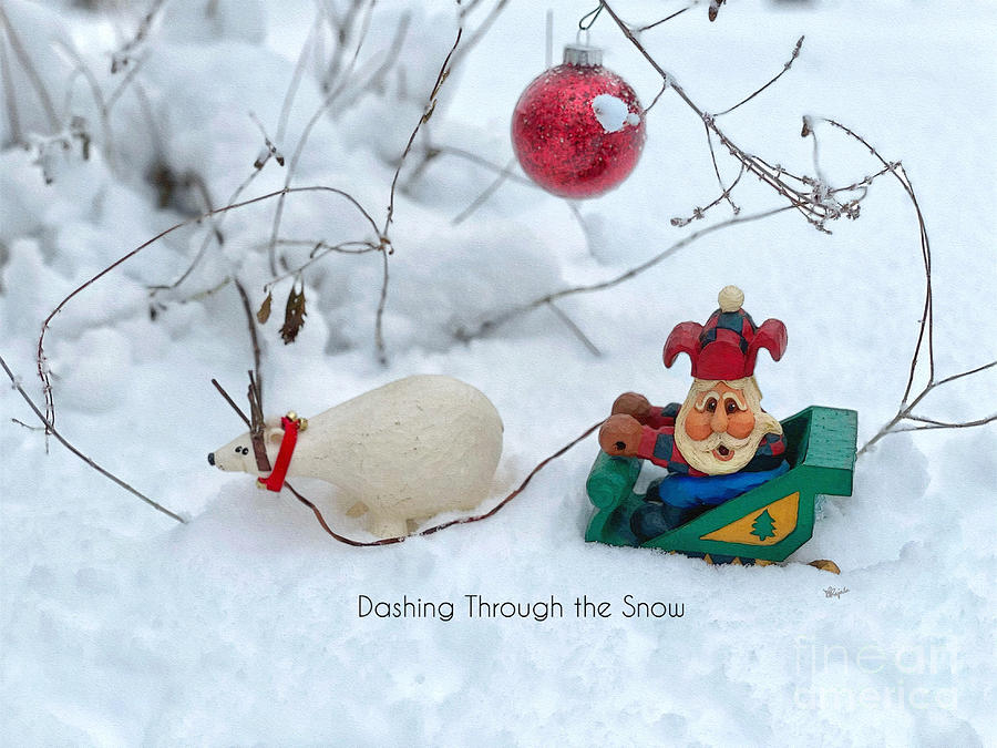 Dashing through the Snow  Photograph by Diana Rajala