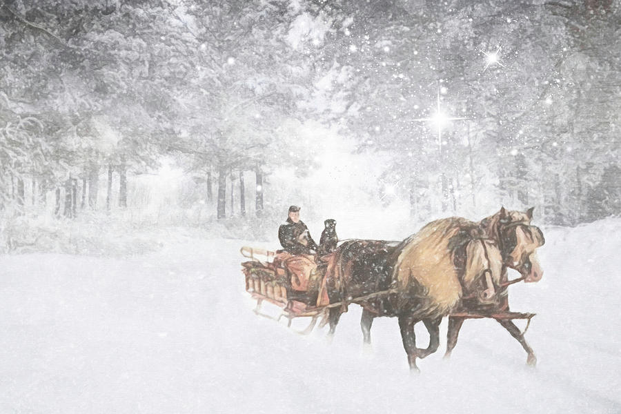 Horse Photograph - Dashing Thru the Snow by Donna Kennedy