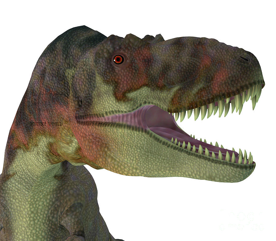 Daspletosaurus Dinosaur Jaws Digital Art
