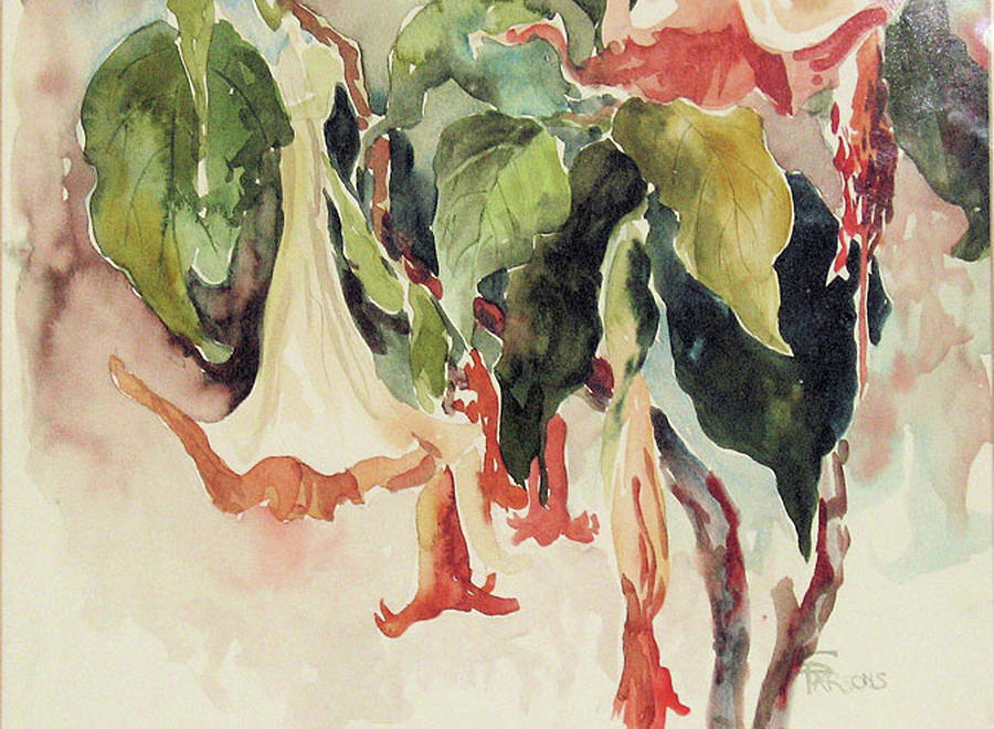 Datura Painting by Sheila Parsons