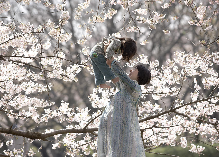 Daughter and pregnant woman under cherry blossoms  Photograph by Air Rabbit
