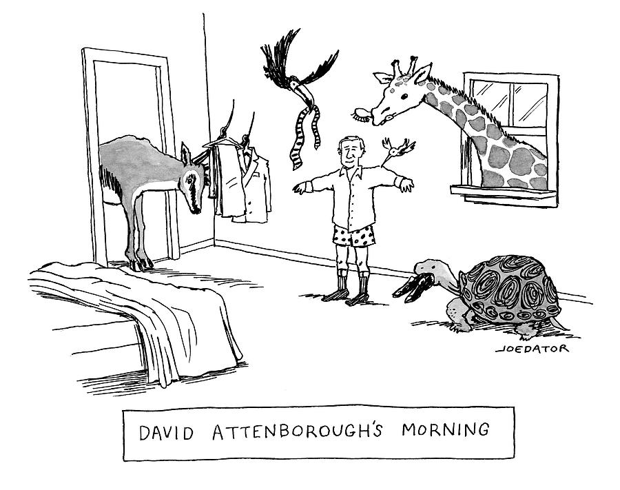 David Attenboroughs Morning Drawing by Joe Dator