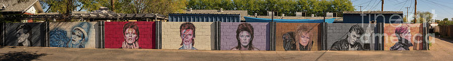 David Bowie Wall Mural pano Photograph by Jim Schmidt MN