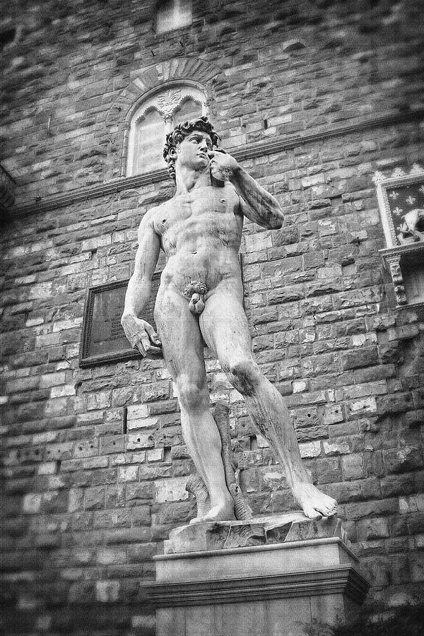 David by Michelangelo Florence Italy Black and White Photograph by Carol Japp