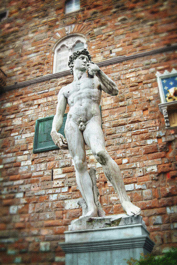 David by Michelangelo Florence Italy  Photograph by Carol Japp