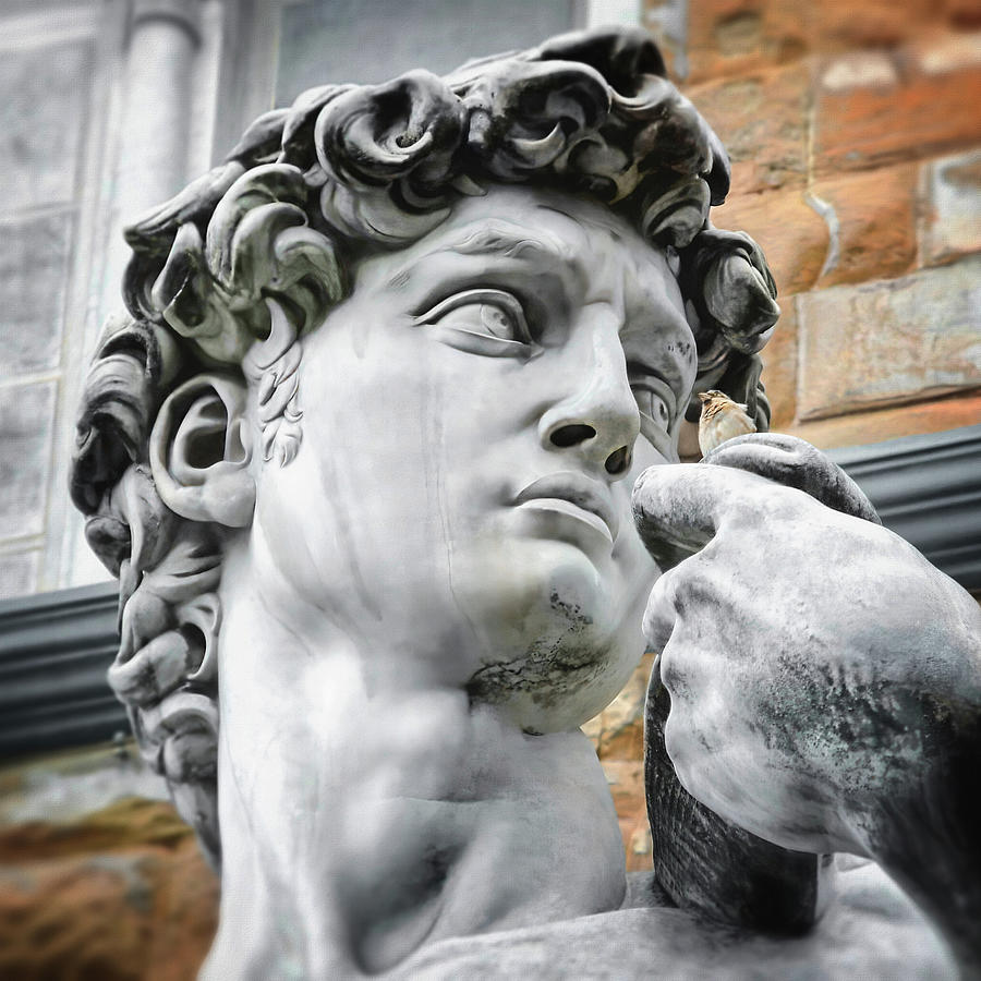David by Michelangelo Florence Italy Face Detail     Photograph by Carol Japp