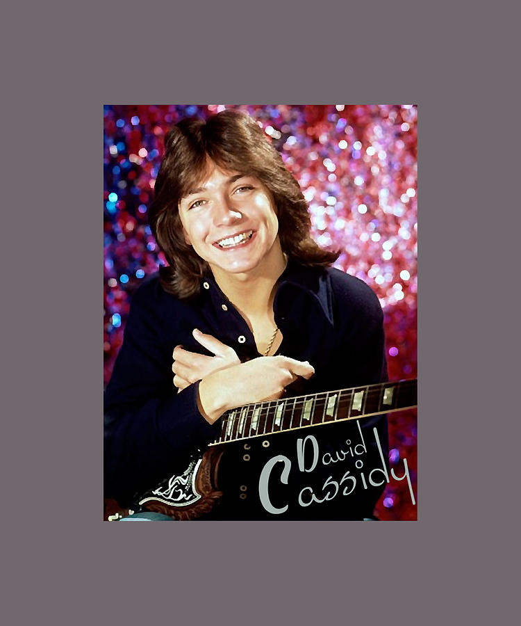 david cassidy 1970s hollywood Classic Painting by Patel Candice | Pixels