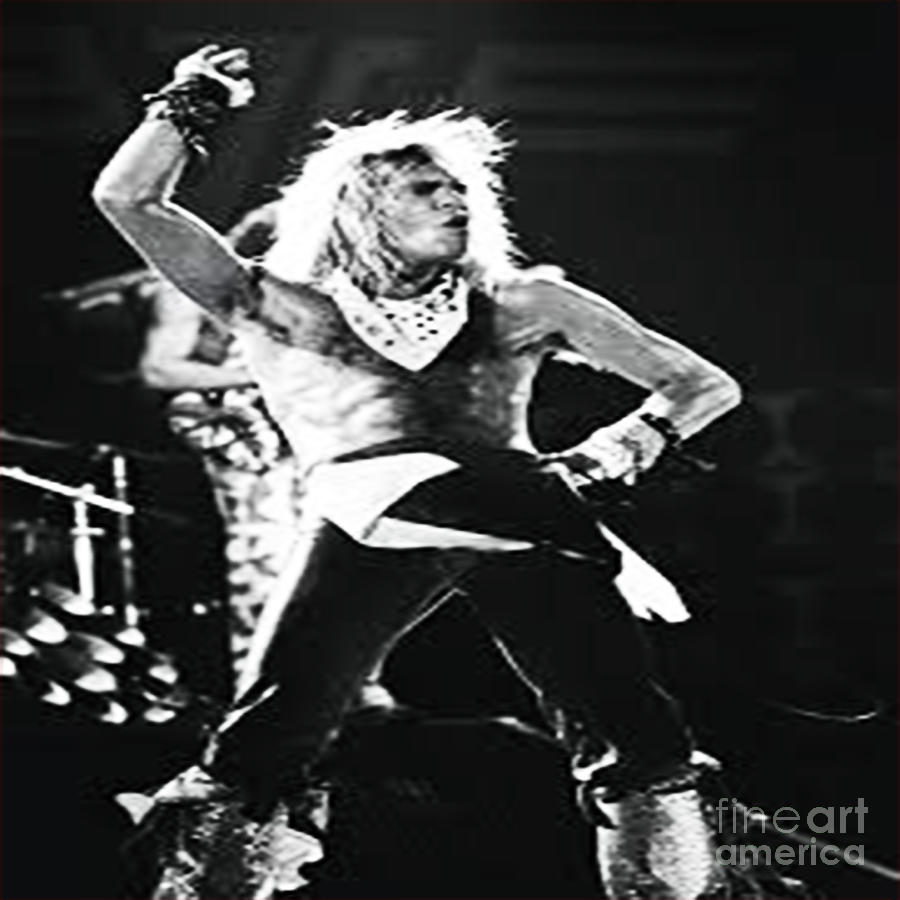 David Lee Roth Style Digital Art by Danilo - Fine Art America