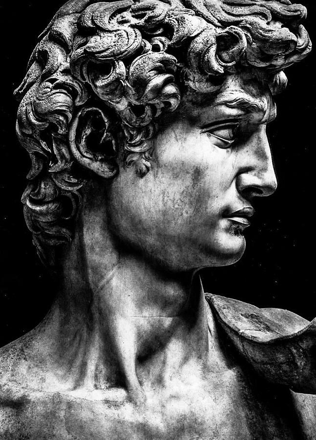 David Michelangelo Renaissance Profile Man Men Painting by Tony Rubino