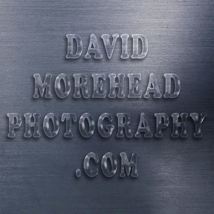 DavidMoreheadPhotography.com Glass Effect Using Photoshop Photograph by David Morehead