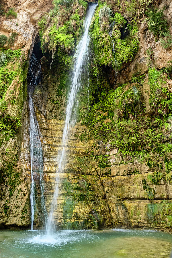 Davids Waterfall, Ein Gedi, Israel Photograph by Roberta Kayne