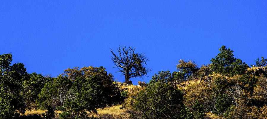 Davis Mountains Texas 001107 Photograph by Renny Spencer
