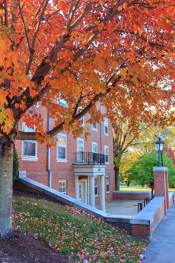 Davis Residence Hall at Wake Forest University Photograph by Bryan Pollard Pixels