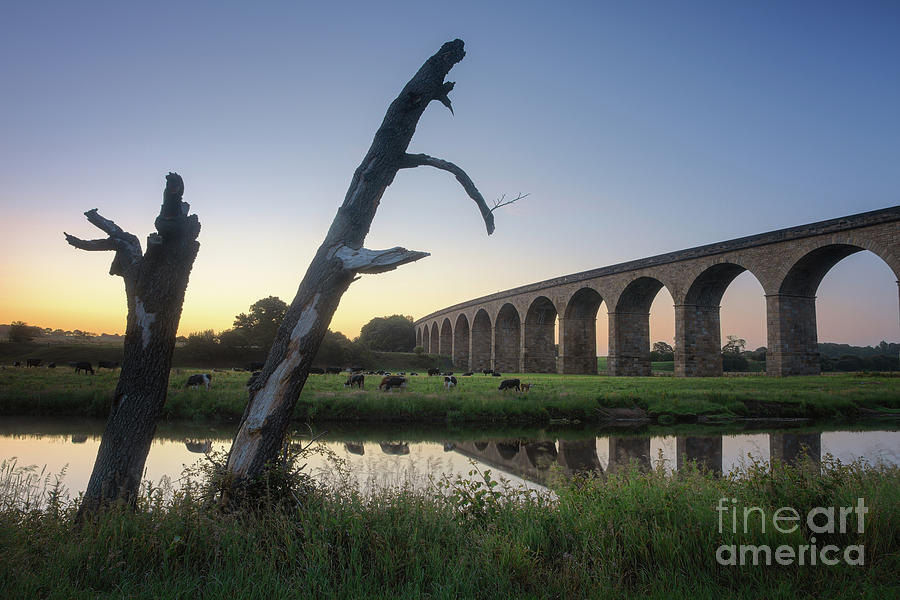 Dawn at Arthington Viaduct Photograph by Mariusz Talarek