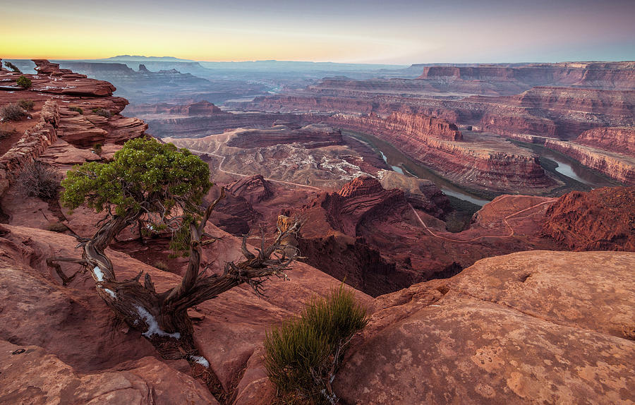 Dawn at Dead Horse Point Photograph by Eric Albright