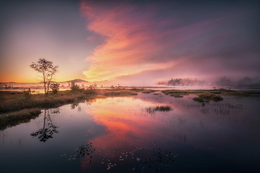 Dawn at Lake Photograph by Henry w Liu