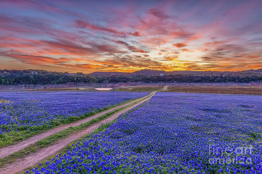 Dawn at Muleshoe Bend Photograph by Clicking With Nature - Fine Art America