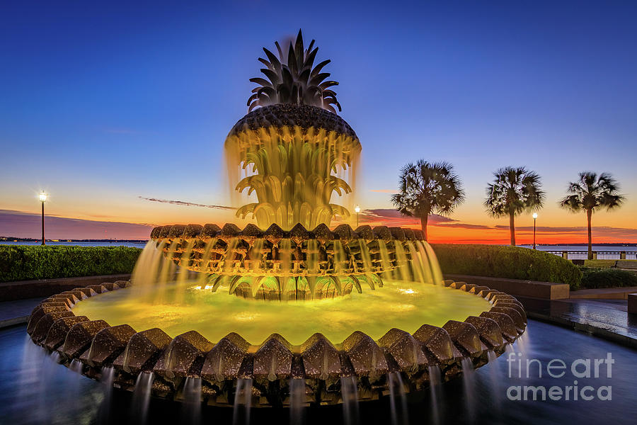 Dawn at Pineapple Fountain Photograph by Inge Johnsson