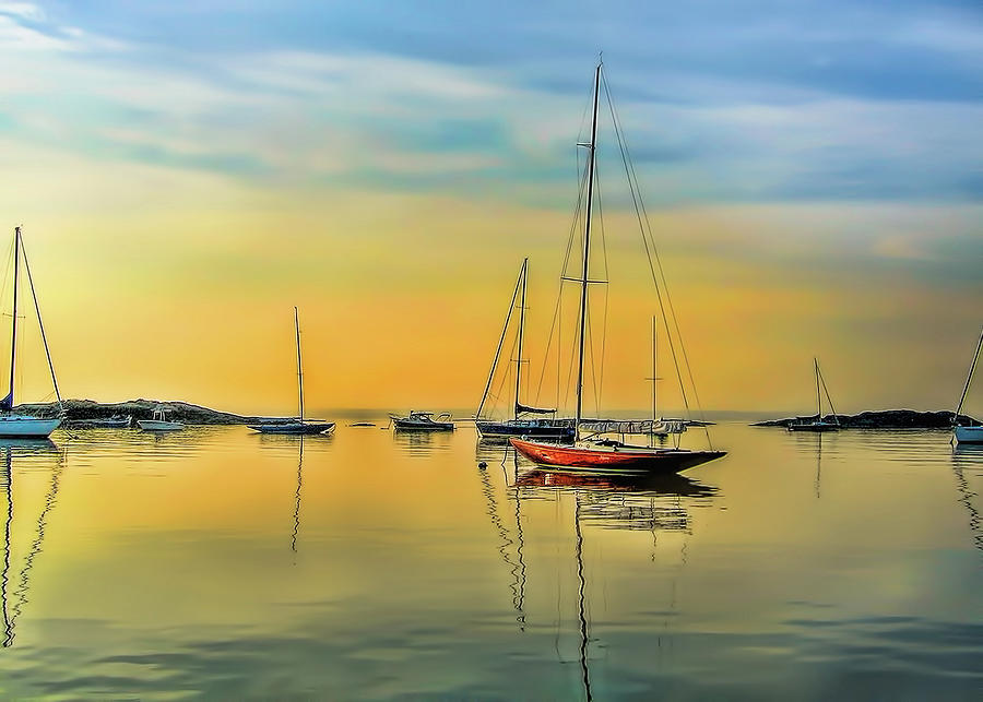 Dawn at the marina Photograph by Cordia Murphy