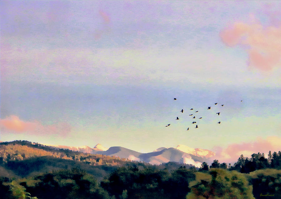 Dawn Birds El Valle II Mixed Media by Anastasia Savage Ealy
