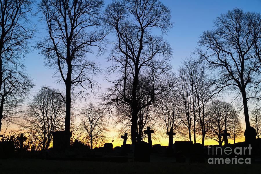 Dawn Burial Ground Photograph by Tim Gainey