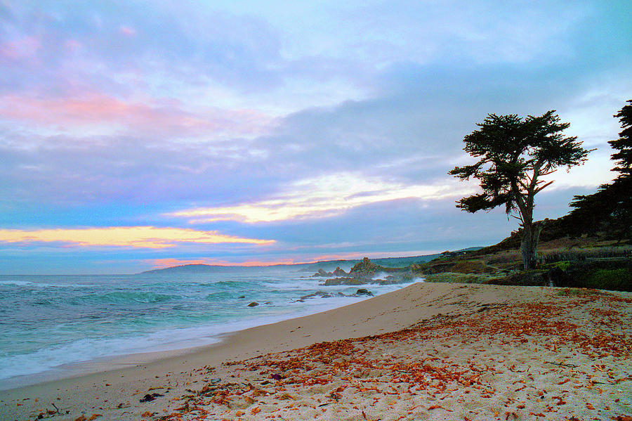 Dawn, Carmel River State Beach, Carmel California Photograph By Kathy 