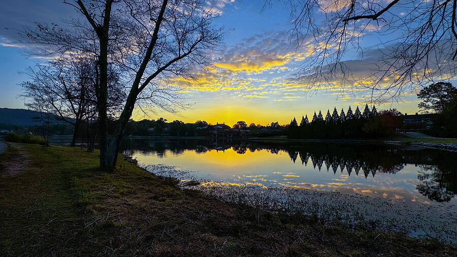 Dawn Photograph by Denise Harty Dawn Photograph by Denise Harty