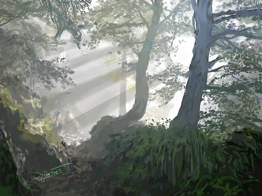 Dawn Forest Video Painting Digital Art by David Luebbert