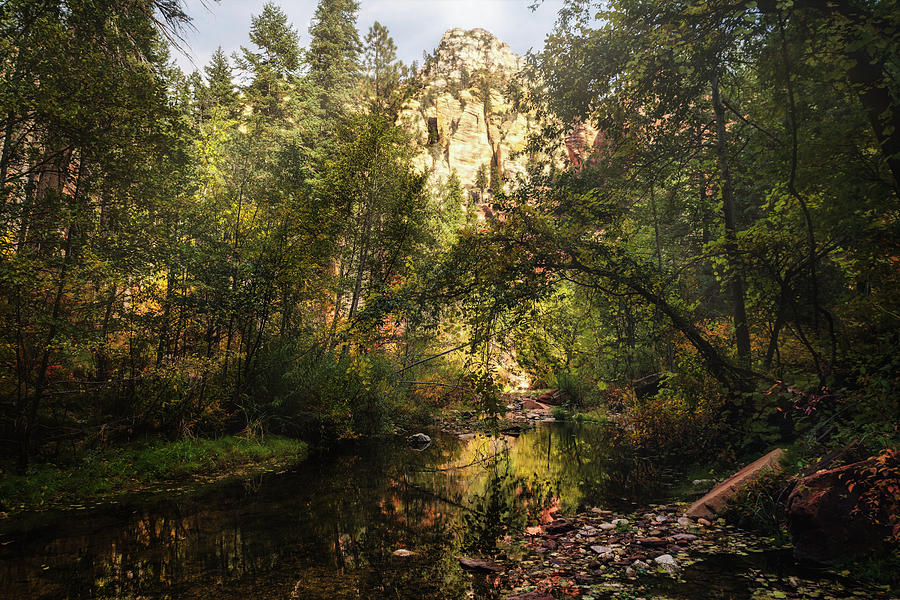 Fall Photograph - Dawn In The Canyon  by Saija Lehtonen