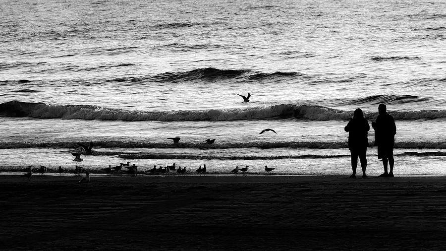 Dawn in the Gulf Photograph by Enrique Pelaez