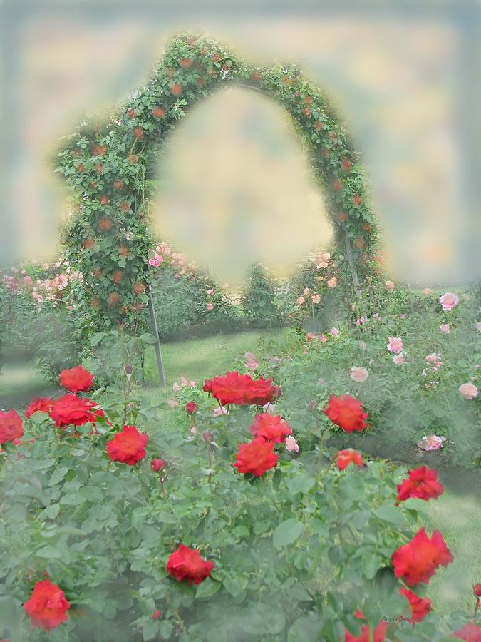 Dawn in the Rose Garden Photograph by Angela Davies