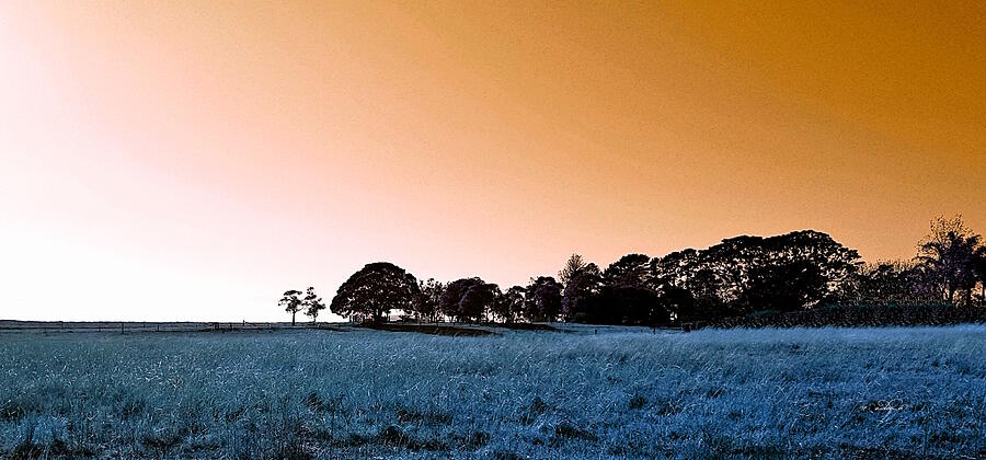 Dawn Landscape Photograph by Carol Walden