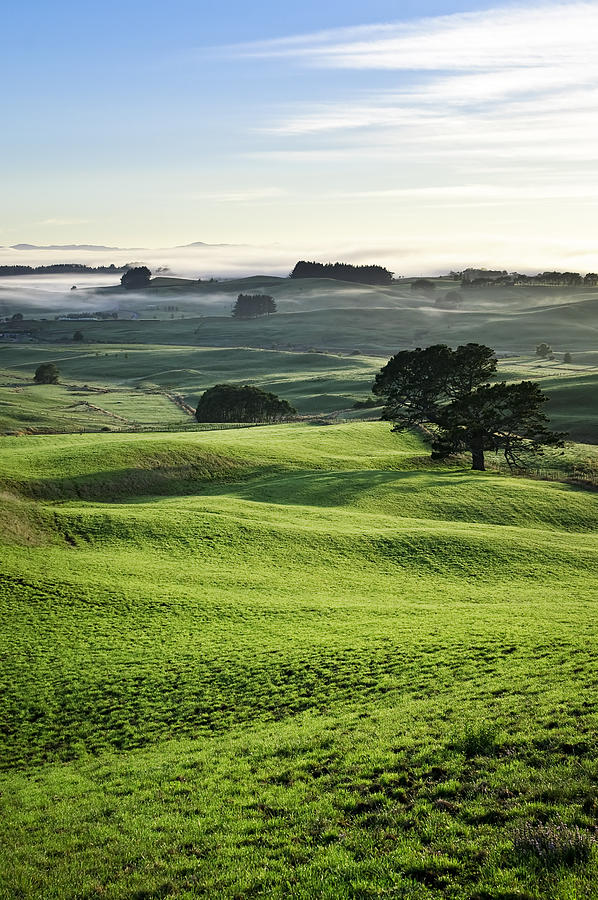 Dawn Mist in Rolling Countryside Photograph by Georgeclerk