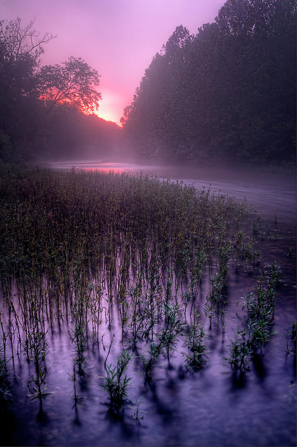 Dawn Mist Photograph by Robert Charity