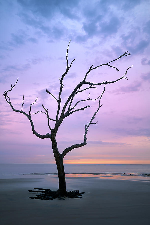 Dawn on Jekyll Island Photograph by Jon Glaser