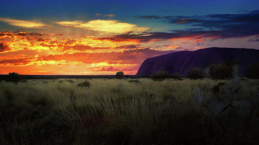 Dawn over Uluru Photograph by Lexa Harpell