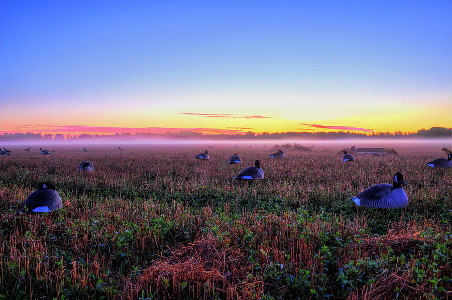 Dawn Setup On The Goose Hunt Photograph by Dale Kauzlaric