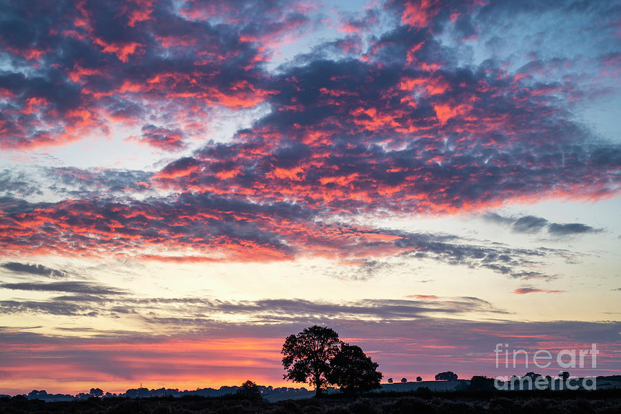 Dawn Sky Over The Warwickshire Countryside Photograph by Tim Gainey