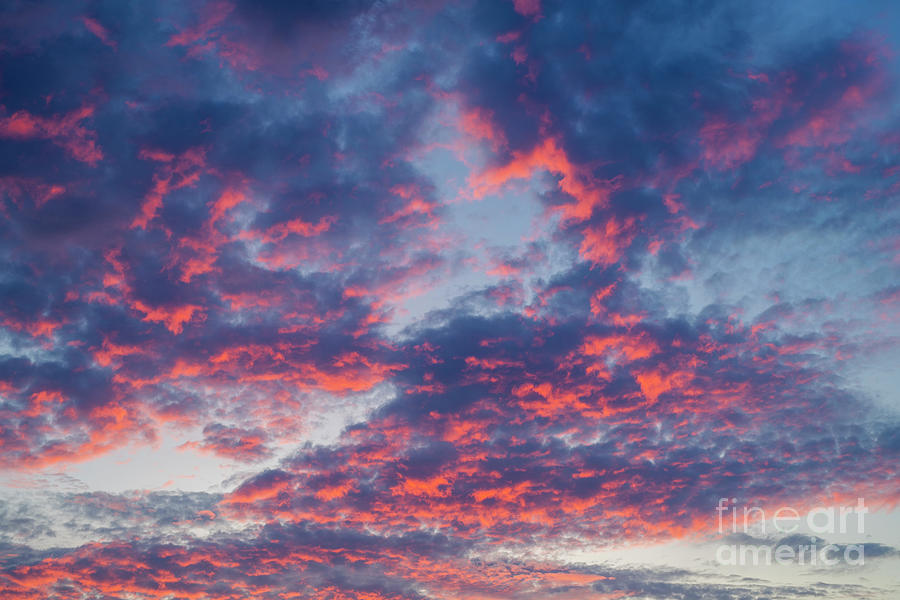 Summer Photograph - Dawn Sky Pattern by Tim Gainey