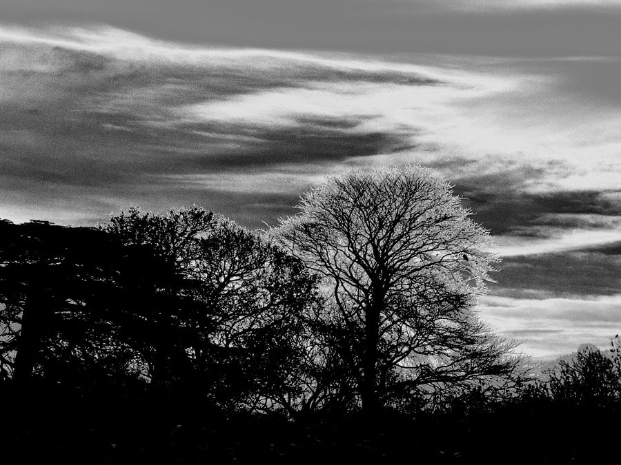 Dawn Sky Silhouettes 10 BW Photograph by Lynne Iddon - Fine Art America