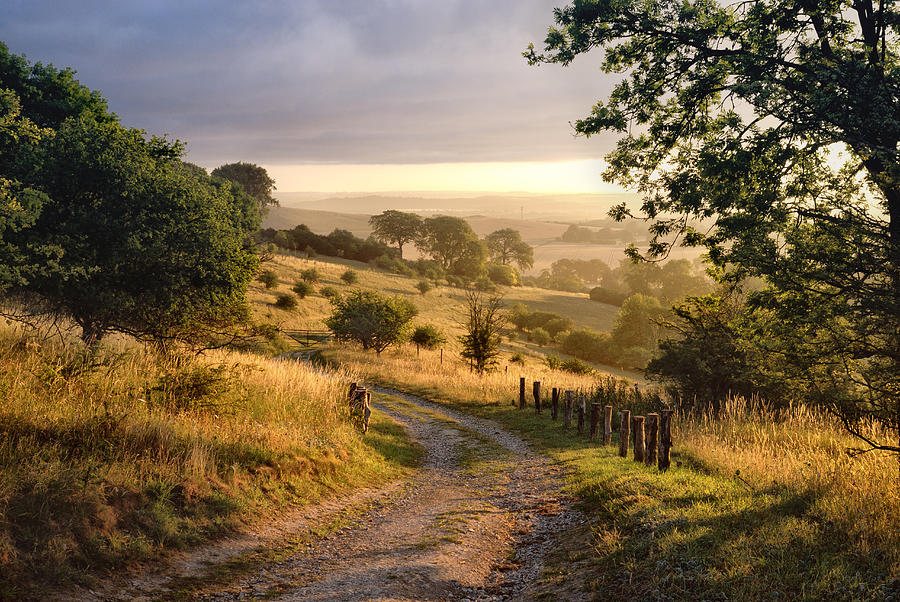 Dawn sunshine in English countryside. Photograph by Tony Eveling