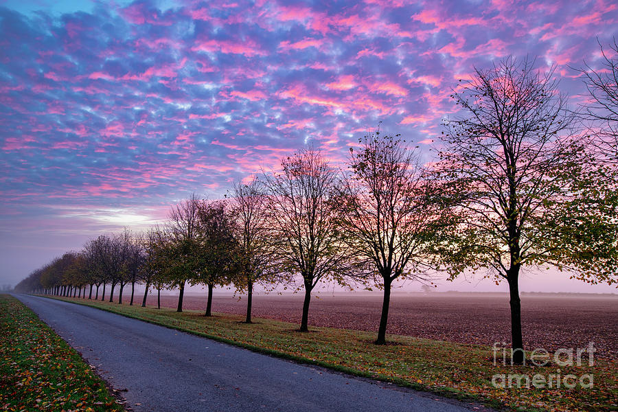 Dawn Photograph by Tim Gainey