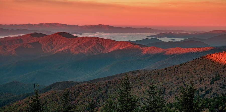 Dawns Early Light From Clingmans Dome Photograph by Marcy Wielfaert