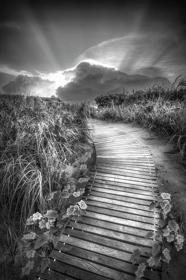 Dawns Glory in Black and White Photograph by Debra and Dave Vanderlaan