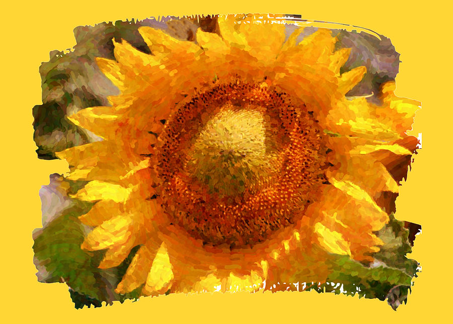 Sunflower Swash Digital Art Digital Art by Gaby Ethington