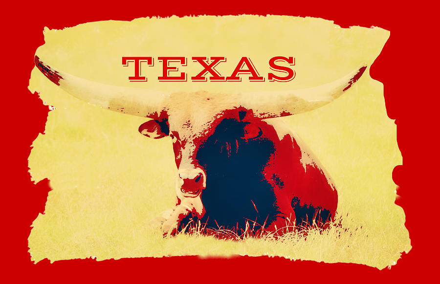 Cow and Texas Graphic Digital Art by Gaby Ethington