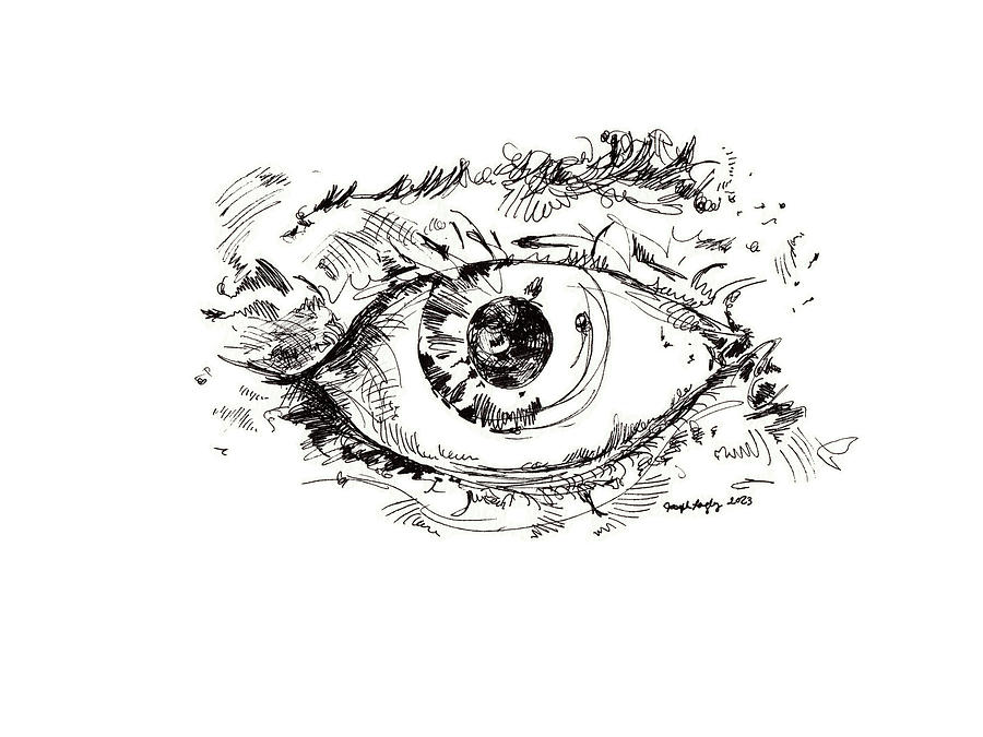 Day 5 Eye - September 2023 Drawing by Joseph A Langley Day 5 Eye - September 2023 Drawing by Joseph A Langley