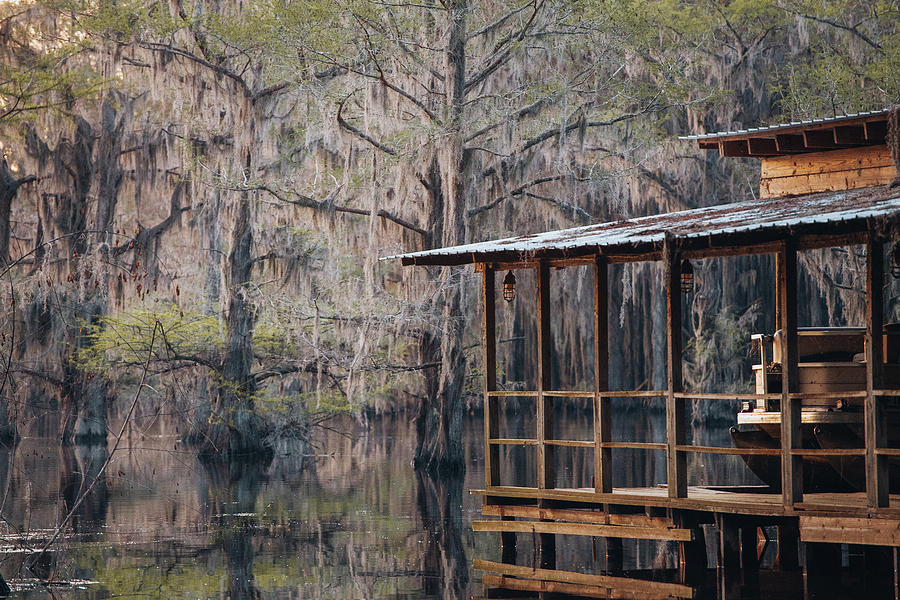 Day at Caddo Lake Photograph by Iris Greenwell