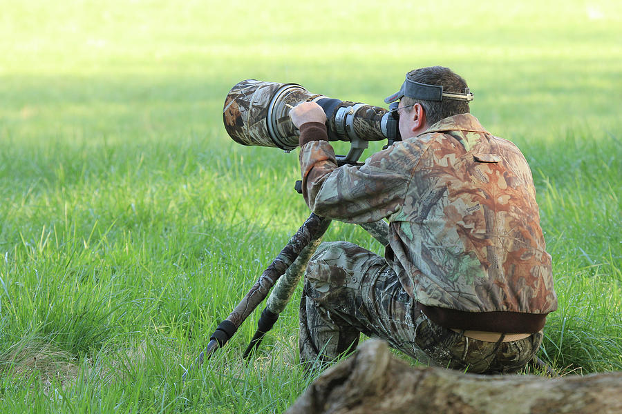 Day at the Office Photograph by Doug McPherson - Fine Art America